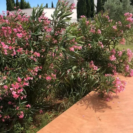 Appartamento Ferienhaus Loren Medolino